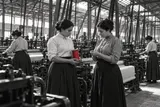 Industrialización antioqueña y concesiones petroleras (1905–1919)
