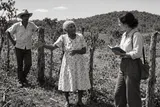 Luchas por baldíos y movimiento campesino costeño (1918–1928)