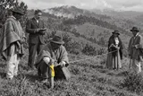 Movilización agraria y conflictos por la tierra en Sumapaz, Tolima y Cundinamarca (1934–1936)