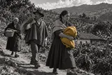La Violencia bipartidista rural y los chulavitas (1948–1953)