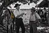 Guerrillas liberales y autodefensas campesinas (1949–1953)