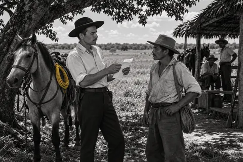 Guerrillas liberales y autodefensas campesinas (1949–1953)