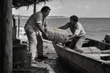 Bonanza marimbera y emergencia del narcotráfico (1976–1980)
