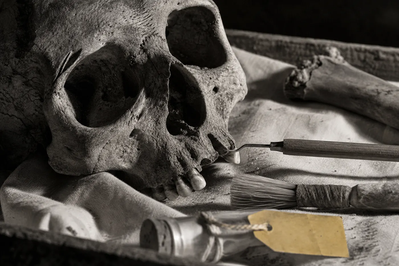 Bioarqueología